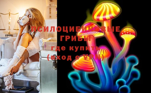 бошки Чегем