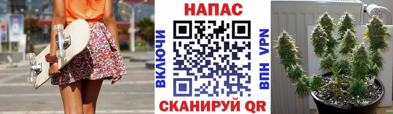 OMG онион  Тула  Каннабис тримм  цена  